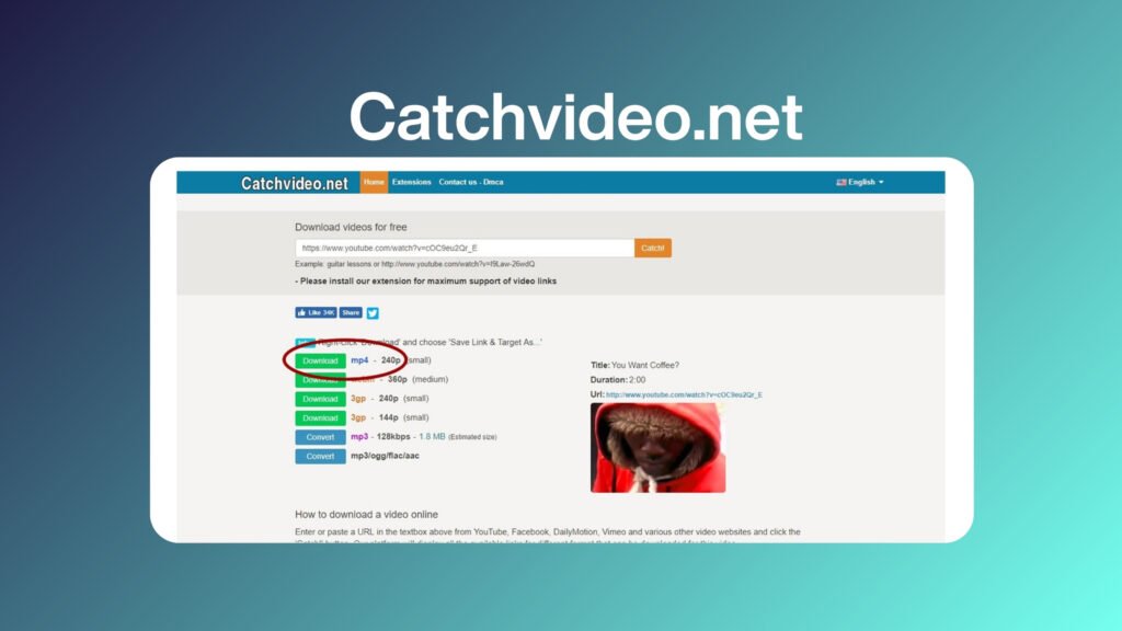 Catchvideo.net